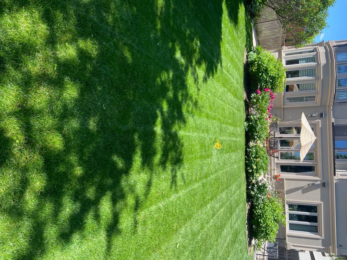 Forestis Landscaping photo 4