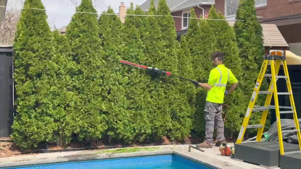 Grass Master Lawn Care photo 4