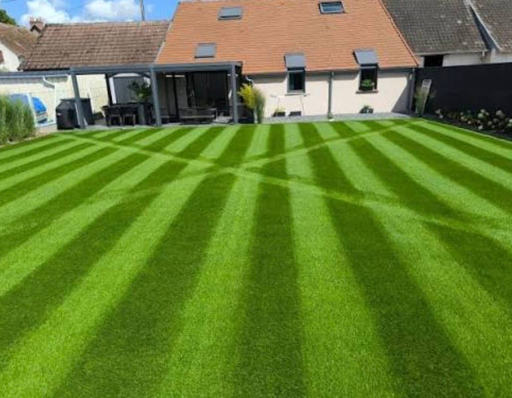 Green lawn expert