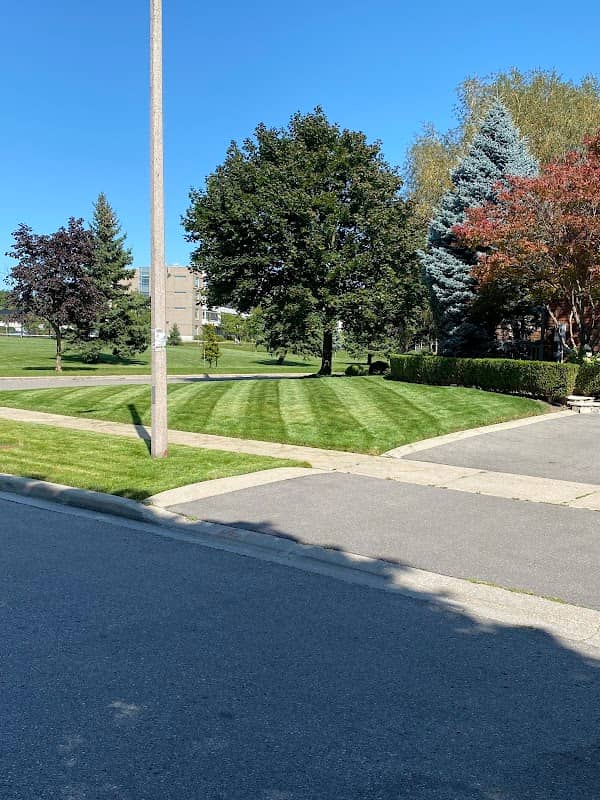 Grovehill Lawn Care photo 3