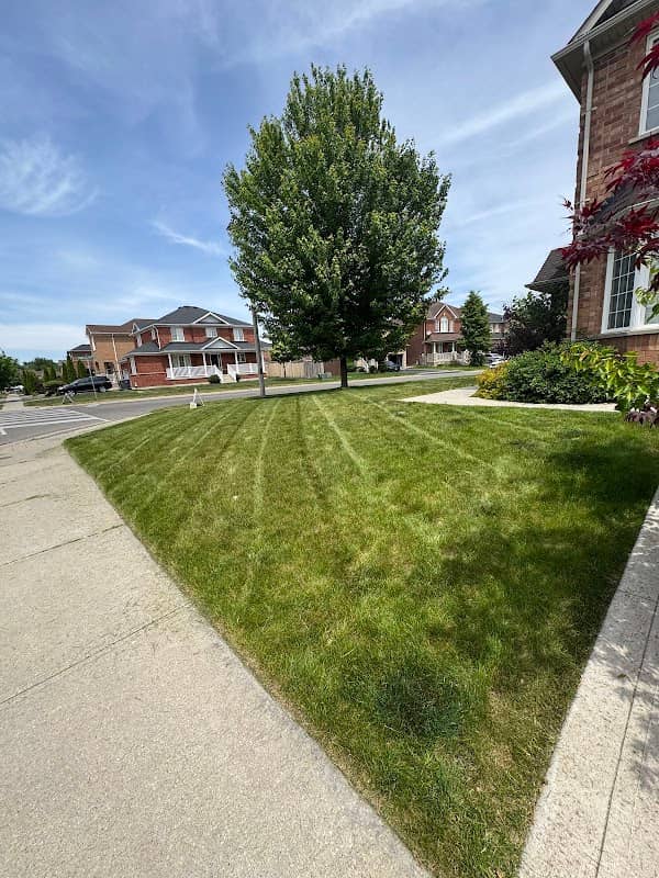 GROWMOW lawn care services photo 3