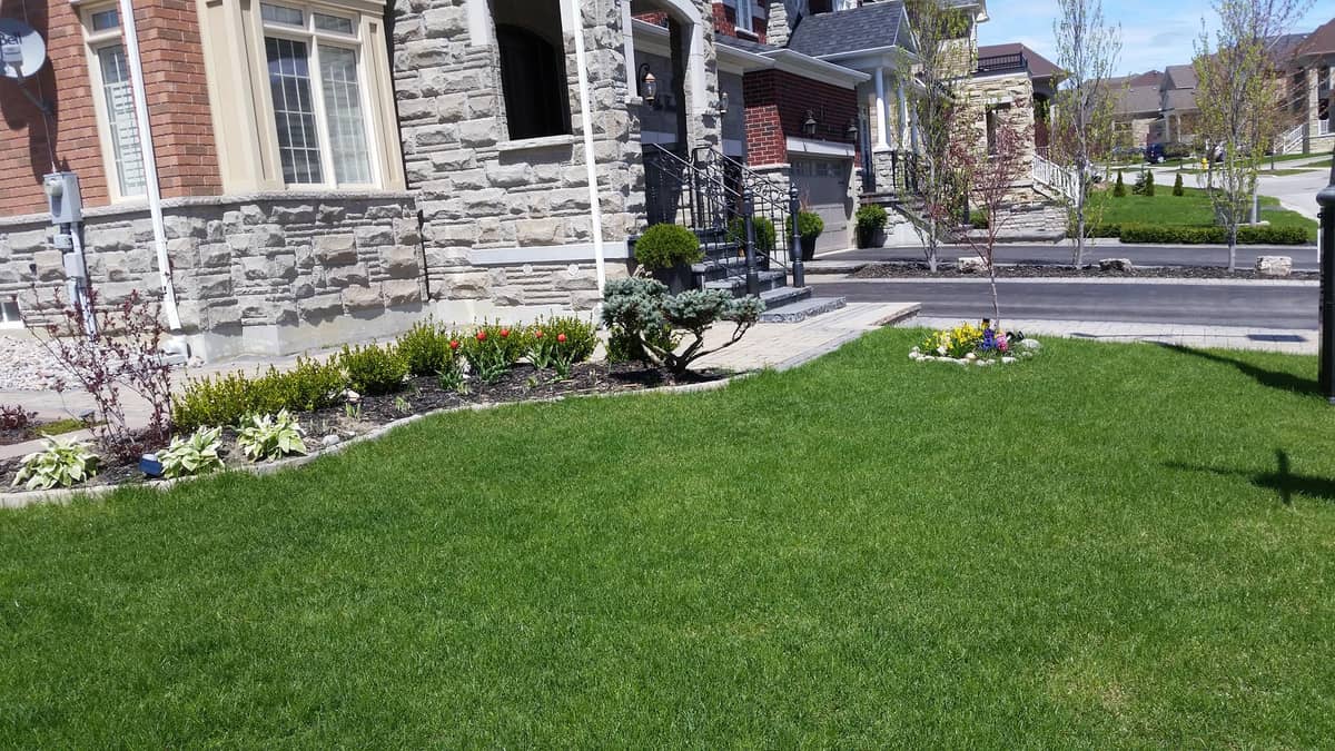 Highly Handy Lawn & Garden Service's photo 4