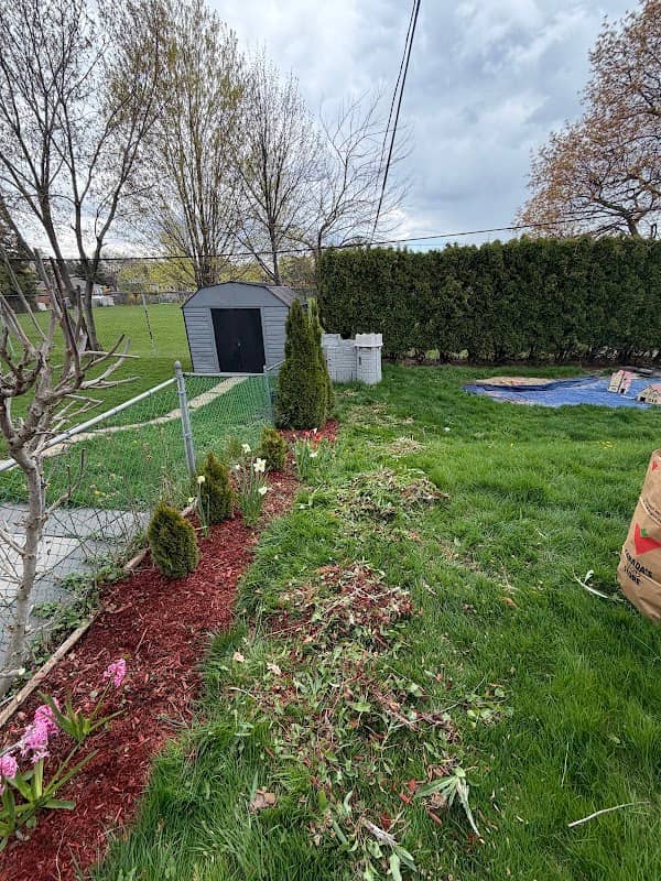 Jade Lawn and Garden photo 3