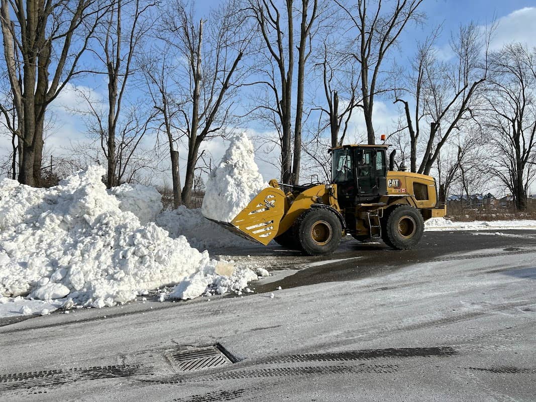 JD Contracting - Landscaping & Tree Services photo 3