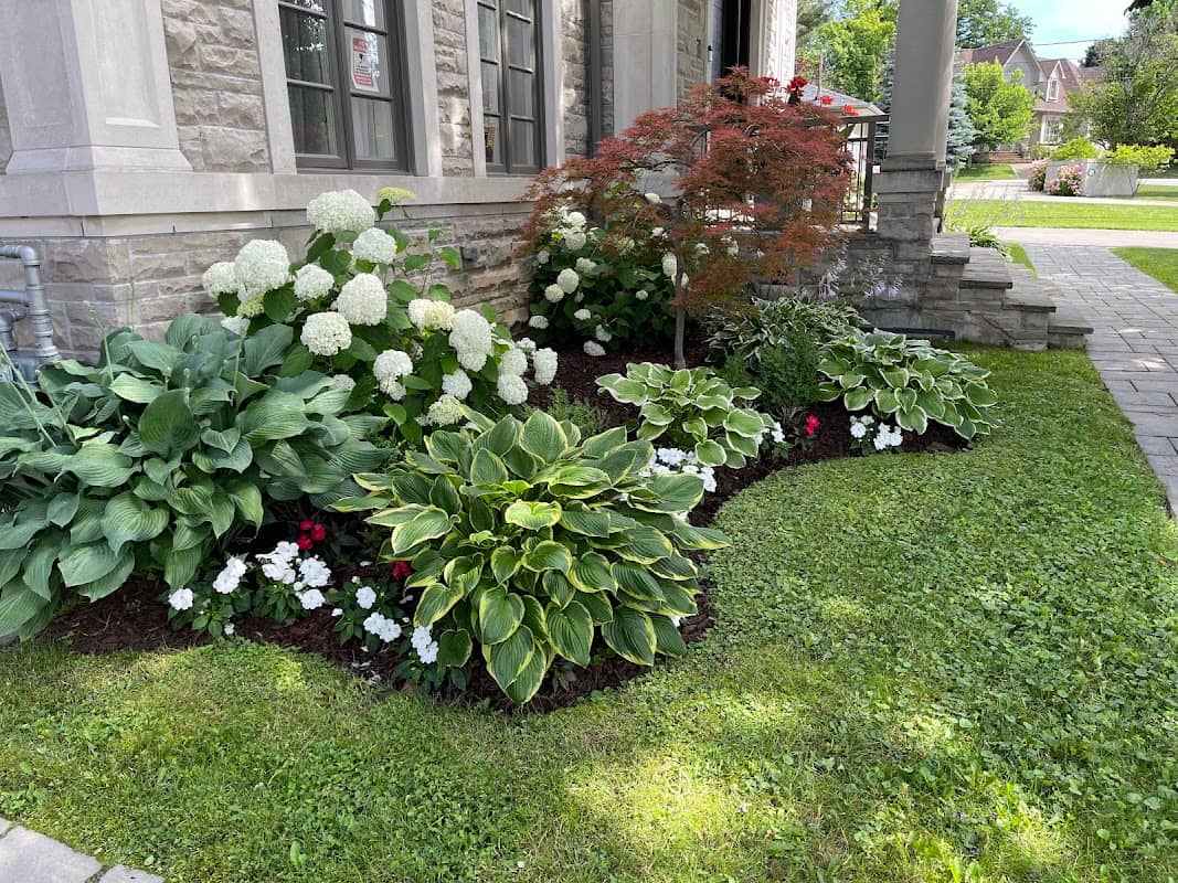 JNB Landscaping photo 4