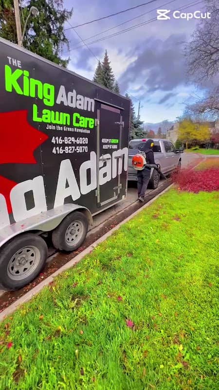 King Adam landscaping photo 3