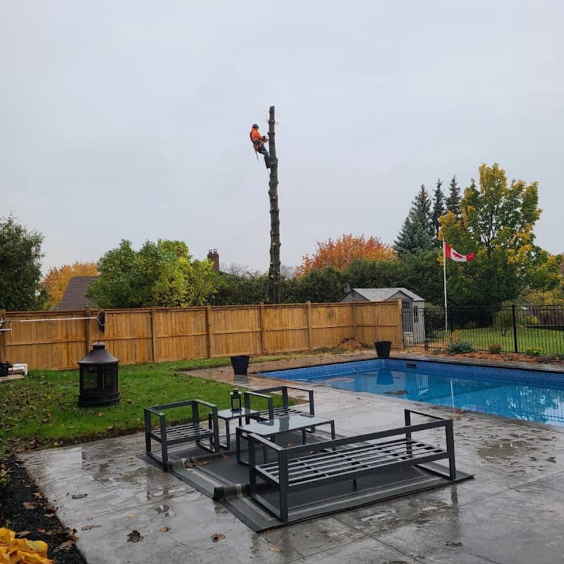 Kodiak Tree Services photo 2