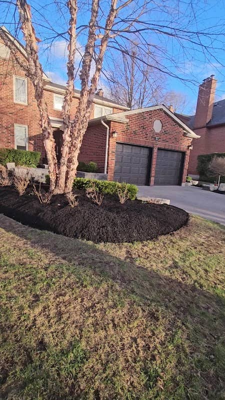 LA Lawn Care - In Markham