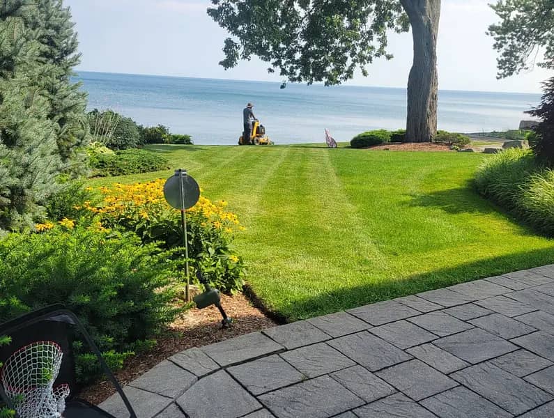Lawncare Solutions photo 4