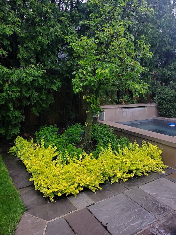 Lawrence Park Complete Garden Care photo 2