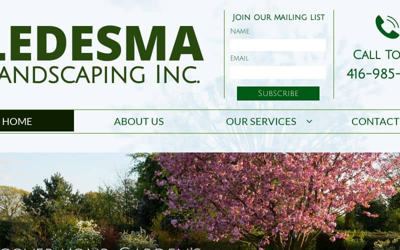 Ledesma Landscaping photo 3