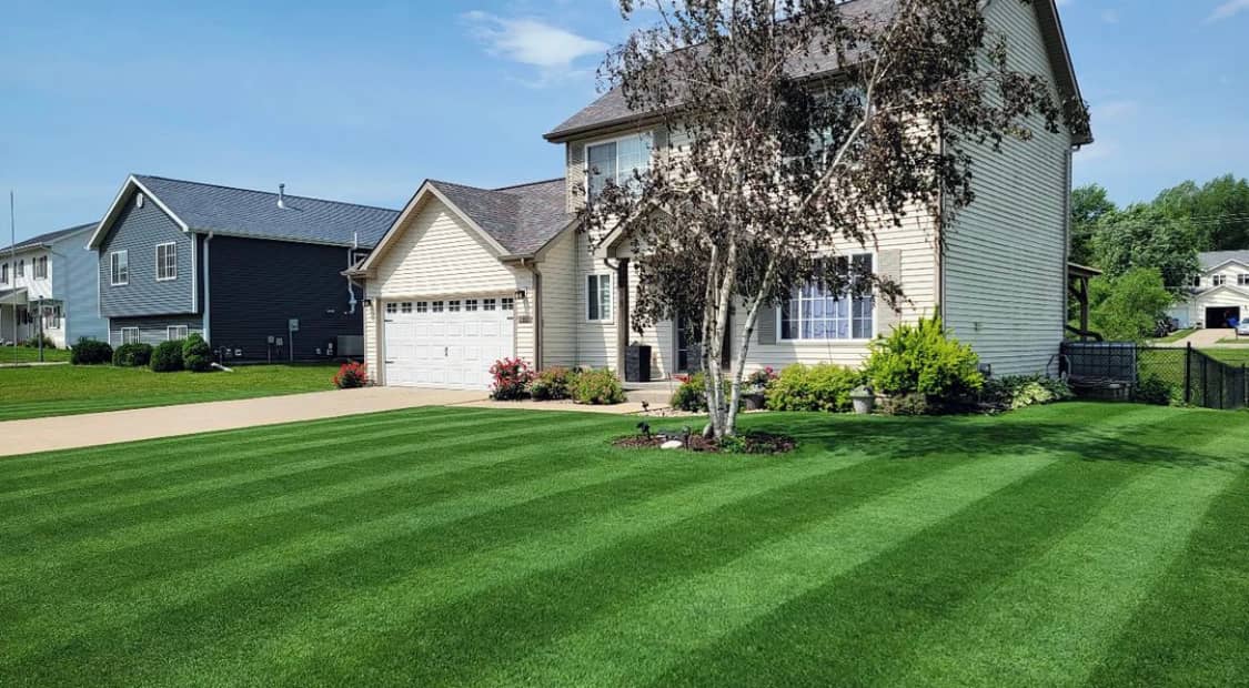 Markham Grass And Garden