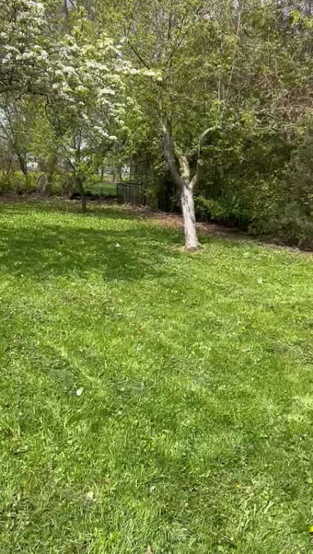 MH Services Landscaping & Fencing photo 3
