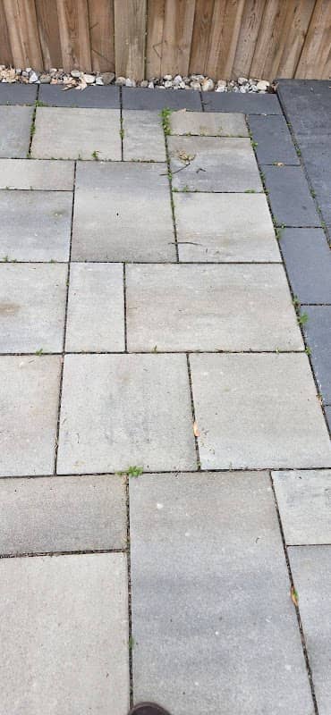 Monalesa Landscaping Inc photo 2