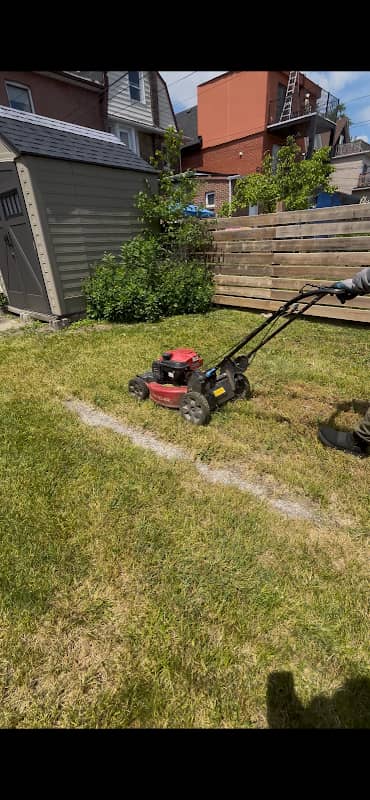 MZ's Lawn Care - Lawn Maintenance & Snow Removal Service photo 2