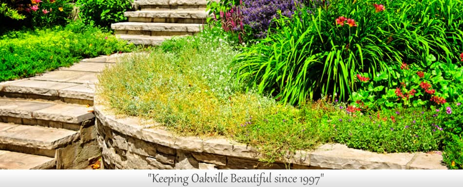 Oakville Landscaping Inc photo 3