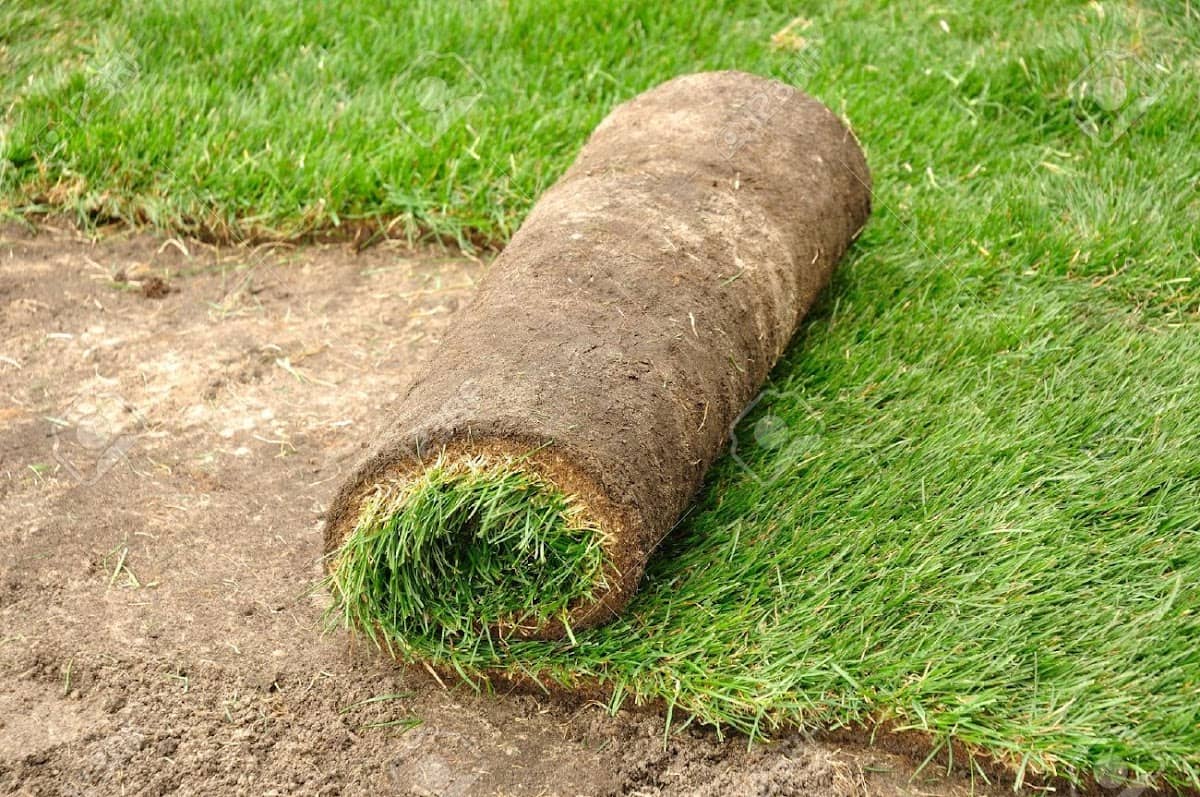Ontario Green Irrigation Ltd photo 2