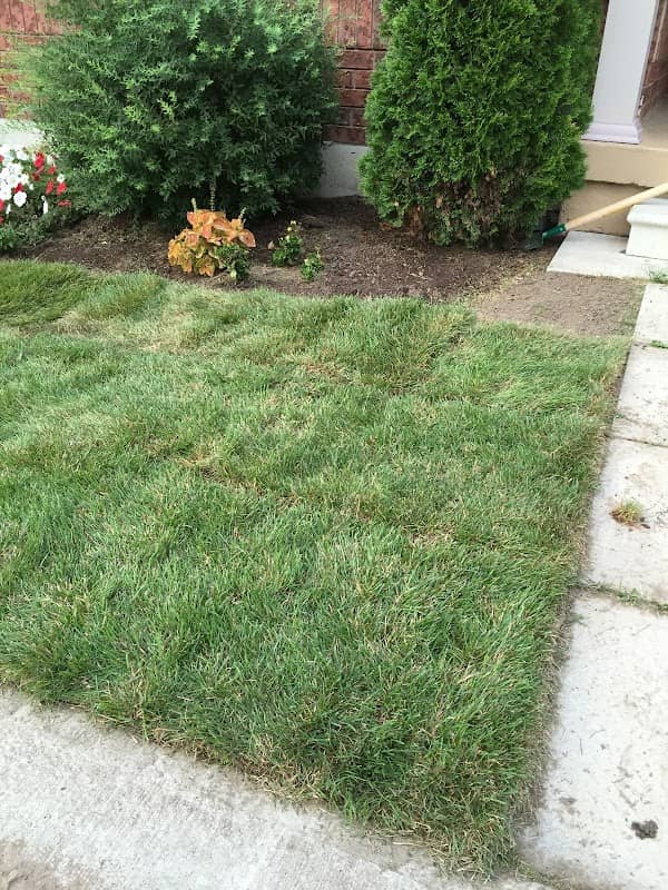 Porcupine Lawn Care and Snow Plowing photo 4