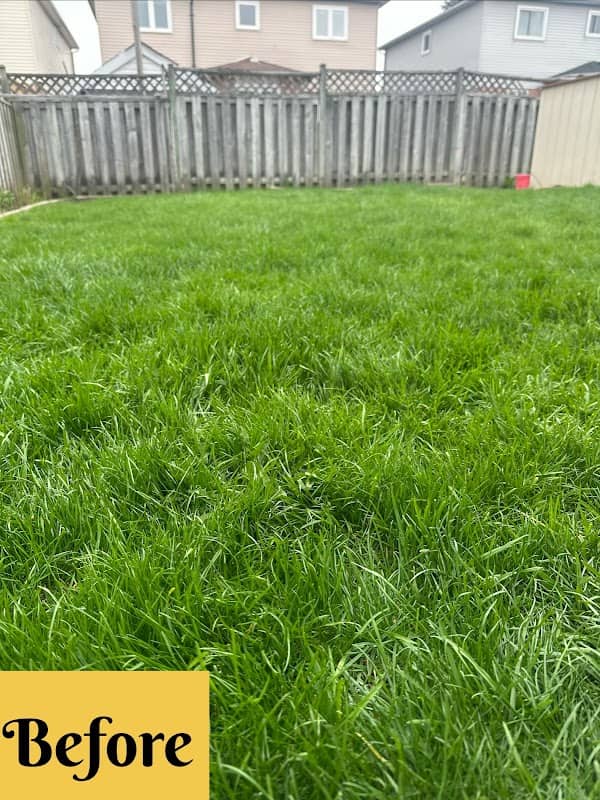 Procut lawn Care and weed control photo 2