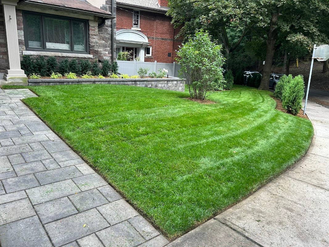 Sod God Lawn & Garden Maintenance photo 2