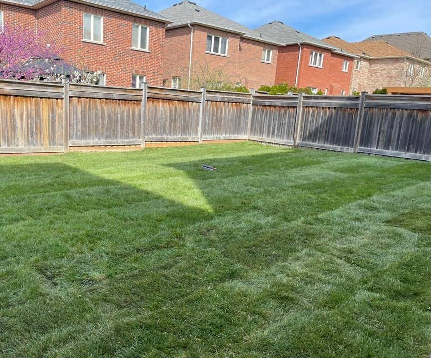 Sod Installation Markham