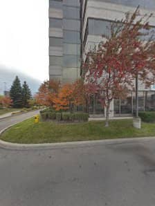 Specialty Stone Projects - Interlocking Pickering & GTA photo 2