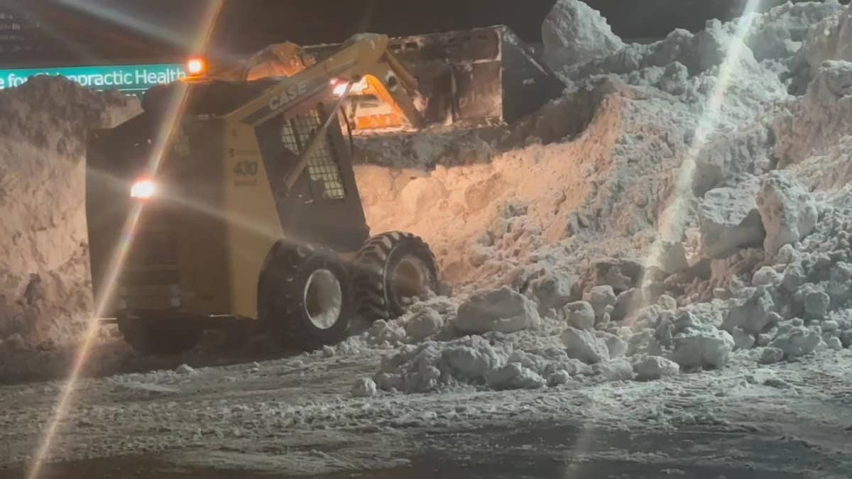 Superior Lawn Care & Snow Removal photo 3