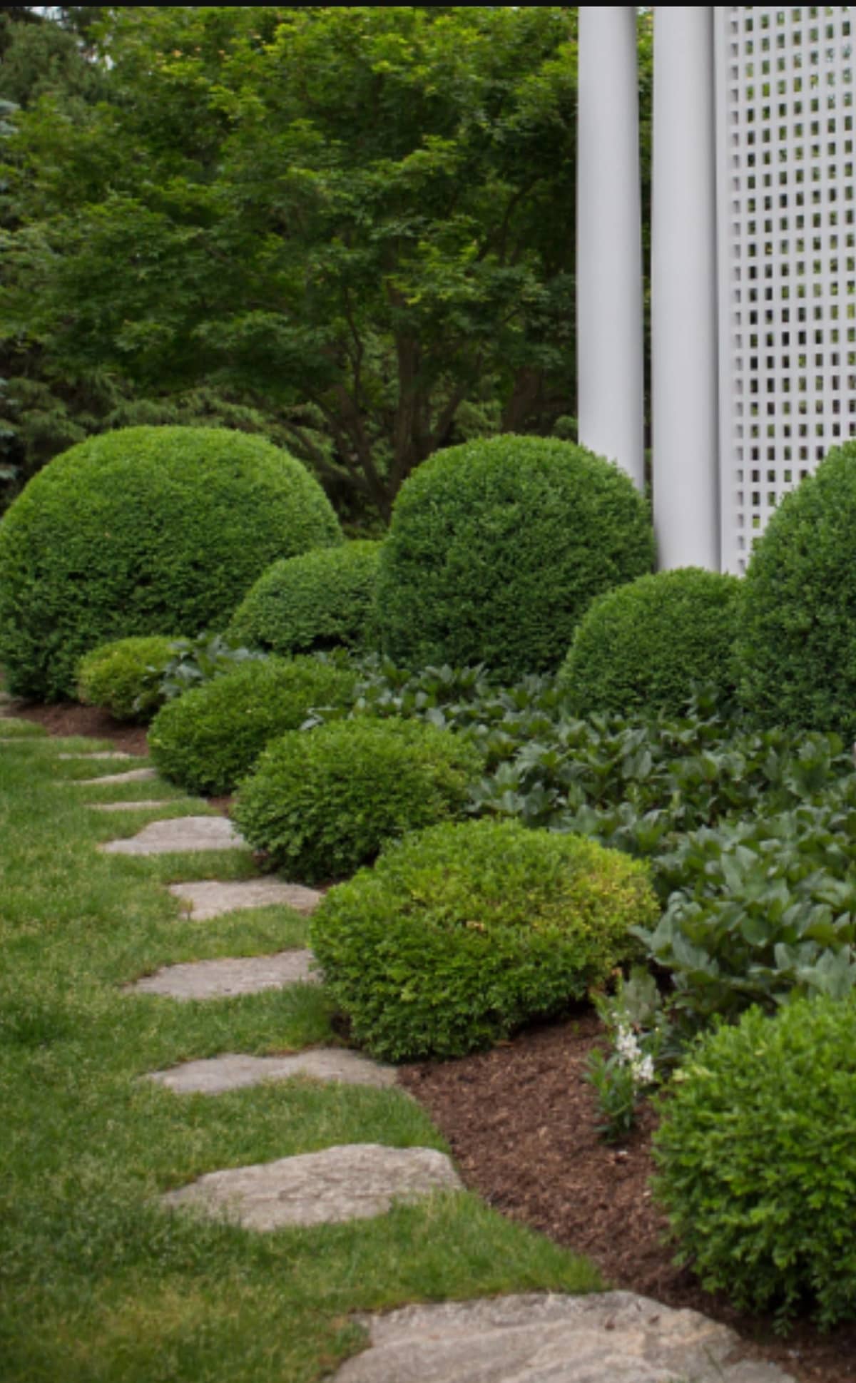 TGF Lawn Care and Snow Removal photo 4