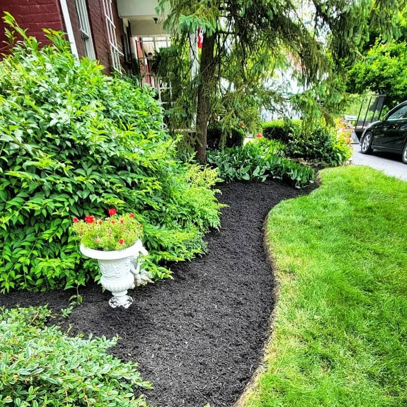 The Garden Boy: Lawn Maintenance Scarborough photo 4