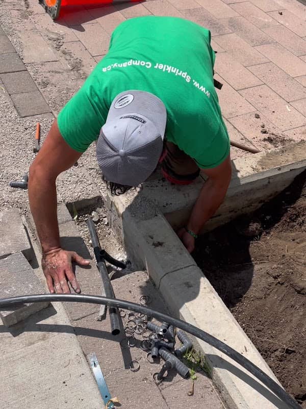 The Sprinkler Company Inc. - Irrigation, Landscape Lighting, Sodding photo 2