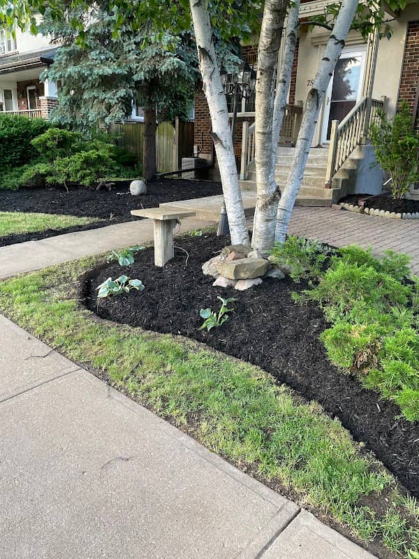 Top Notch Lawn Care photo 2