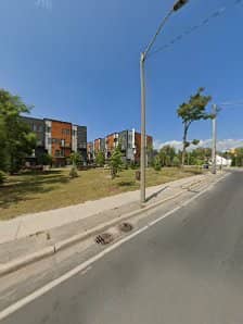Toronto Lawn Mowing Solutions photo 4
