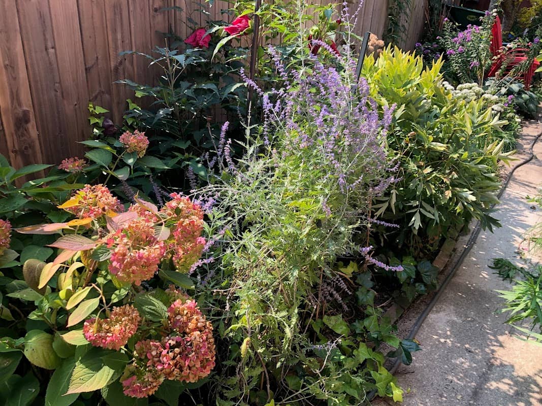 Tranquility Garden Design