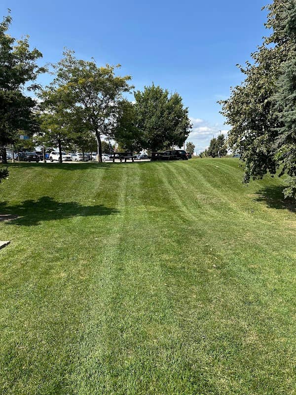 True north Landscape management