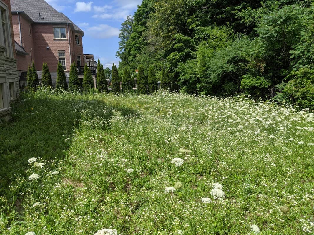 Ultimate Lawn Care photo 2