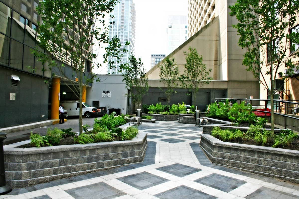Urban Garden photo 2