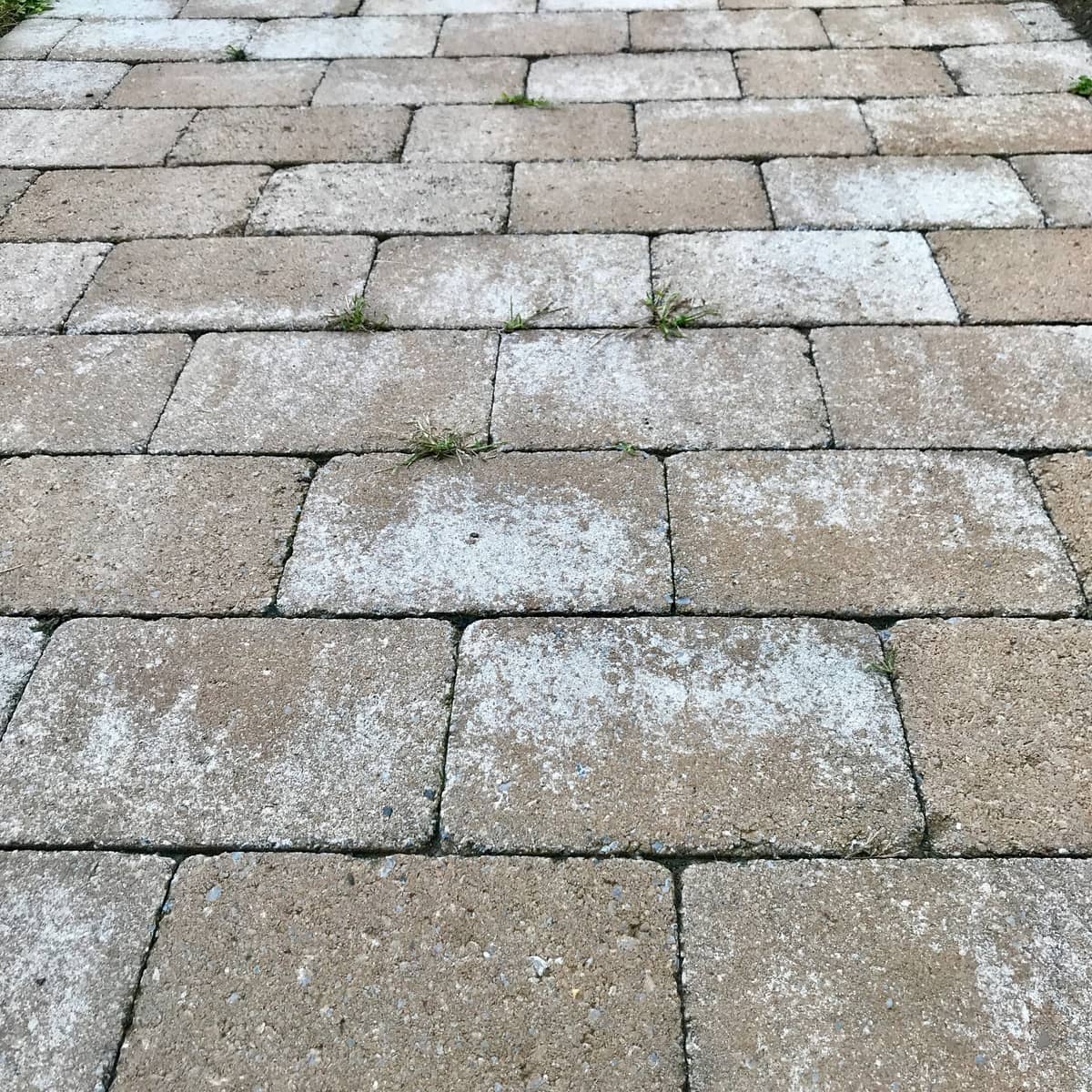 URL Landscaping photo 3