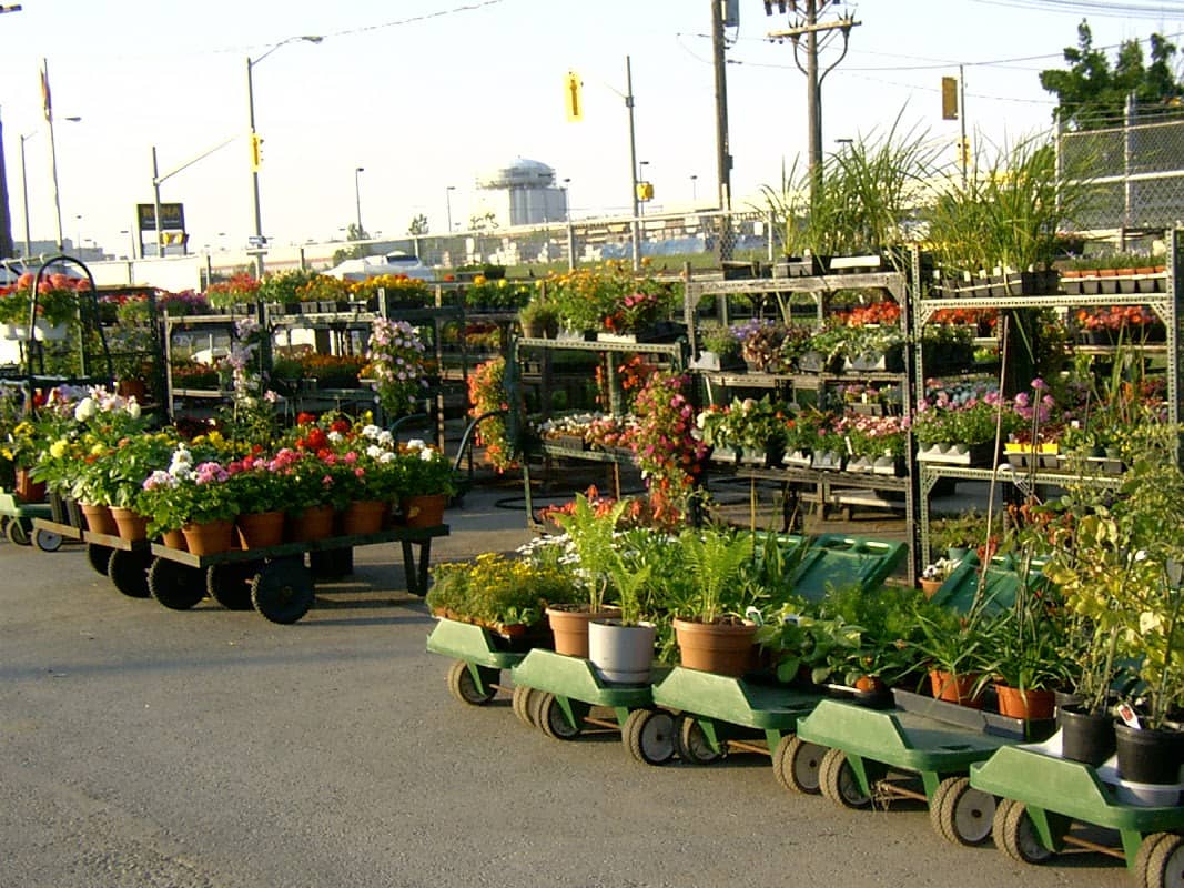 Villacci's Garden Depot photo 2