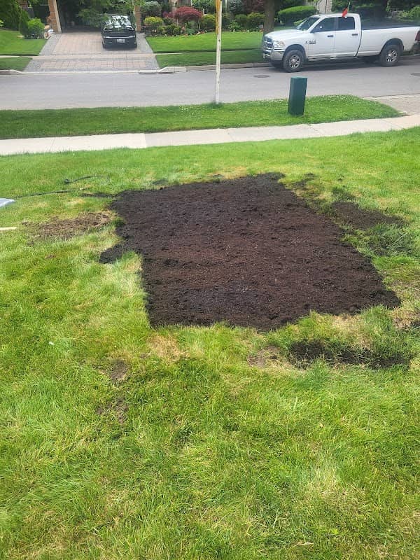 Wynter Landscaping and Handyman Mississauga photo 2