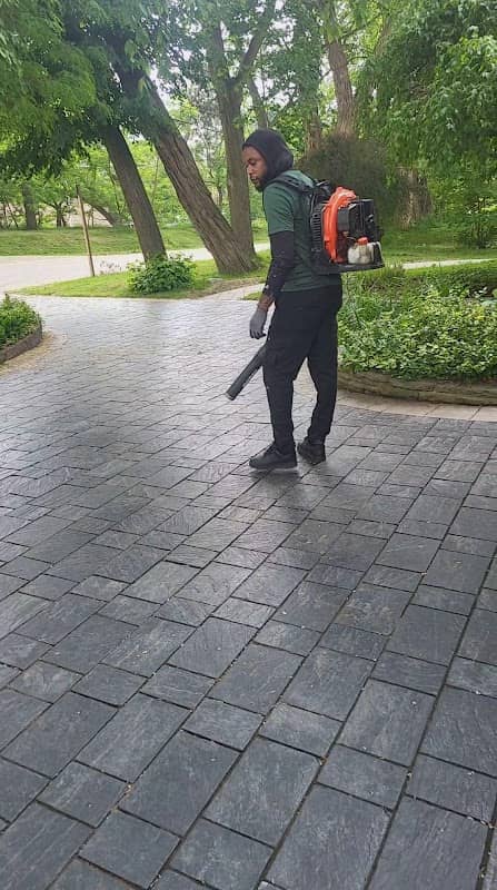 Wynter Landscaping and Handyman Mississauga photo 3